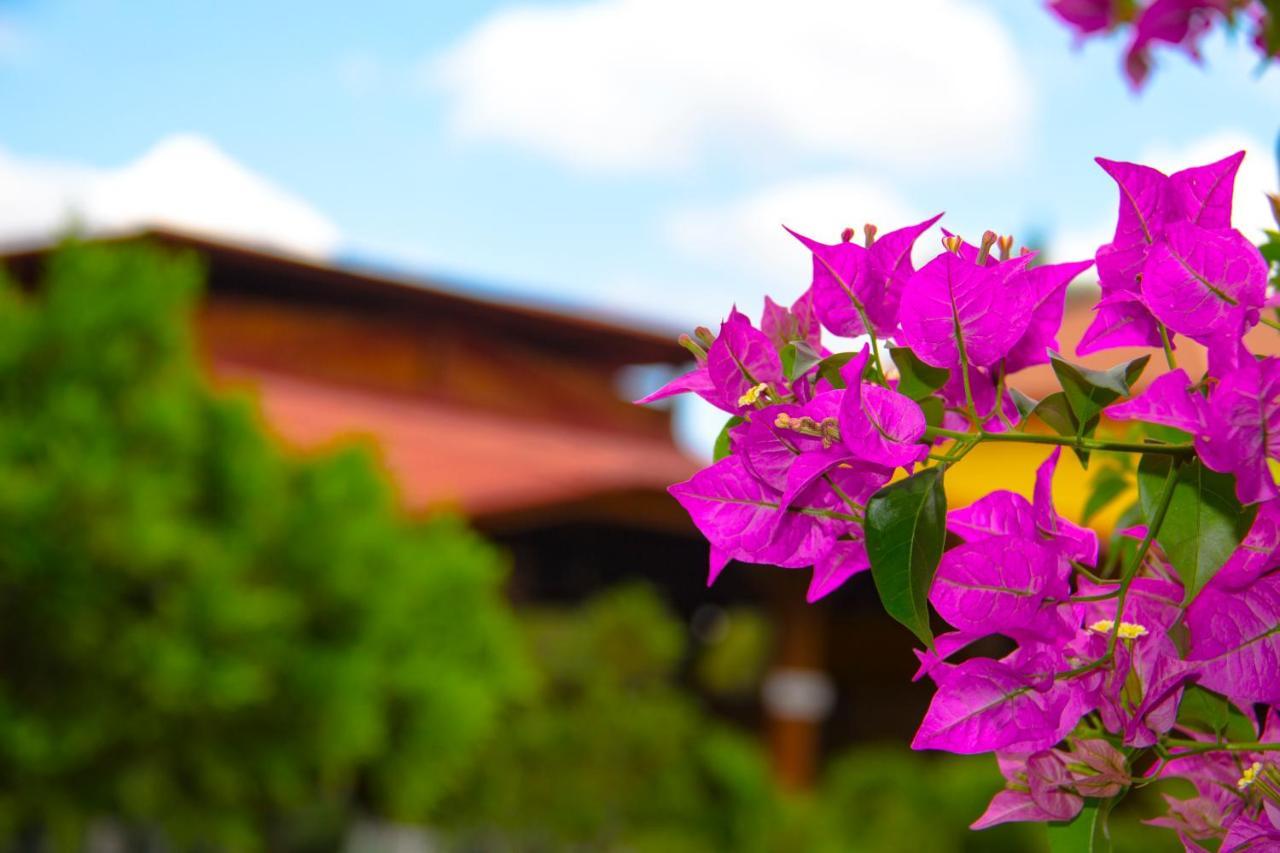 Rancho Guacamayos Hotel & Restaurantes Bonao ภายนอก รูปภาพ